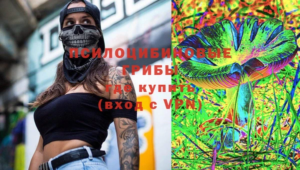 мдпв Арсеньев