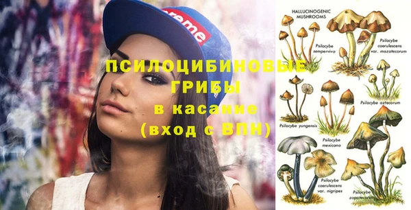мдпв Арсеньев