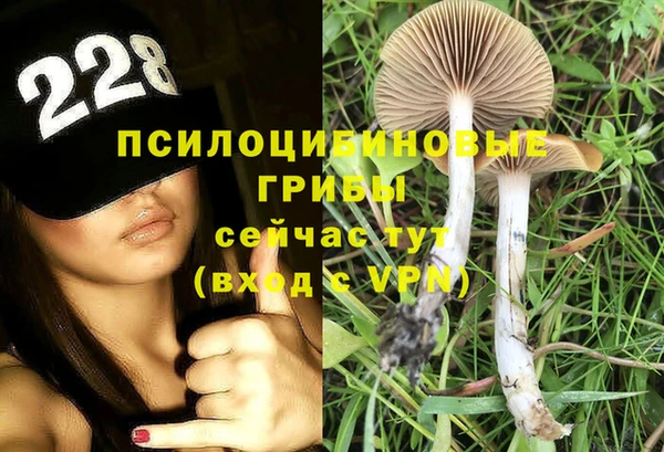 мдпв Арсеньев
