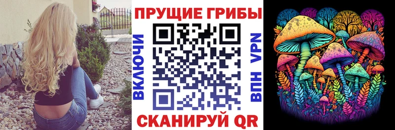 omg ССЫЛКА  Сертолово  Псилоцибиновые грибы Cubensis  магазин продажи наркотиков 
